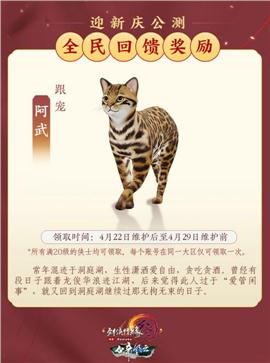 1.976天龙八部私服
